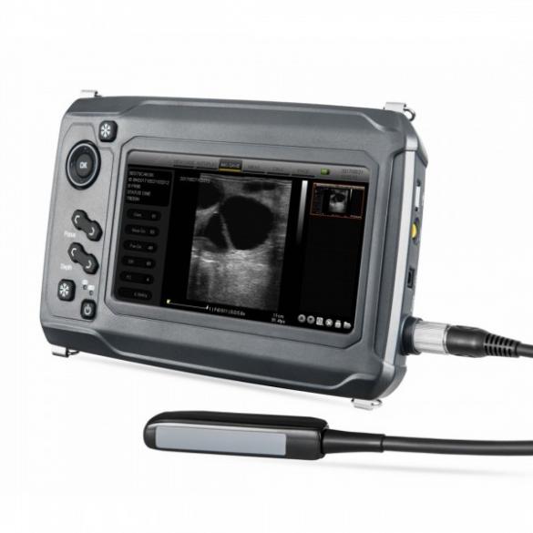 Compact Touch Ultrasound System for Large Animal Scanning CBMVU46