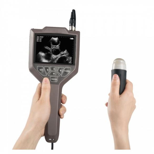 Full-digital Swine Ovine Ultrasound Scanner CBMVU43