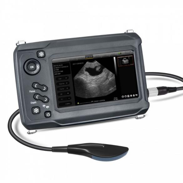 Compact Touch Ultrasound System for Large Animal Scanning CBMVU46
