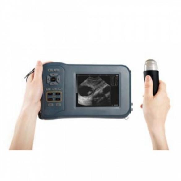Versatile Ultrasound for Pig-Sheep-Goat Animal Scanning CBMVU44