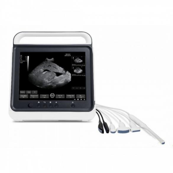 Vet Touch B/W Portable Ultrasound Scanner System CBMVU40